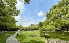 目光奇特的前瞻者能够把握时代的脉搏