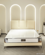 牌规模取合做案例占20%